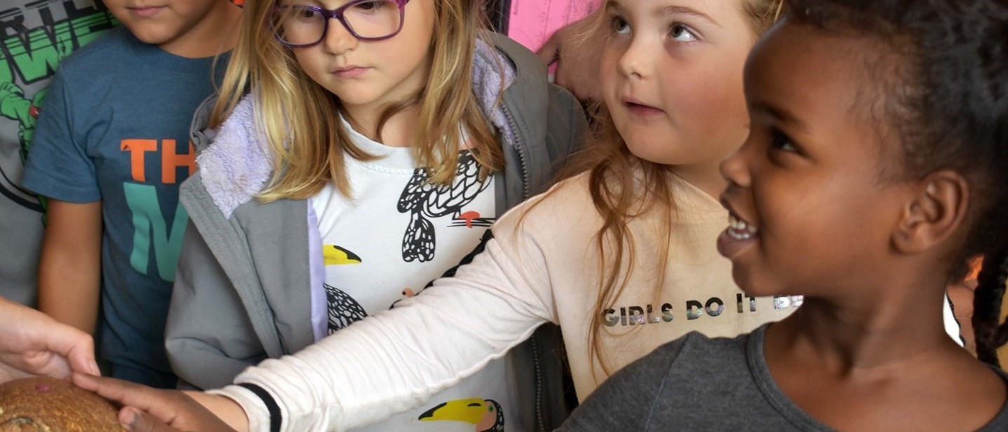 Students touching animal from zoo